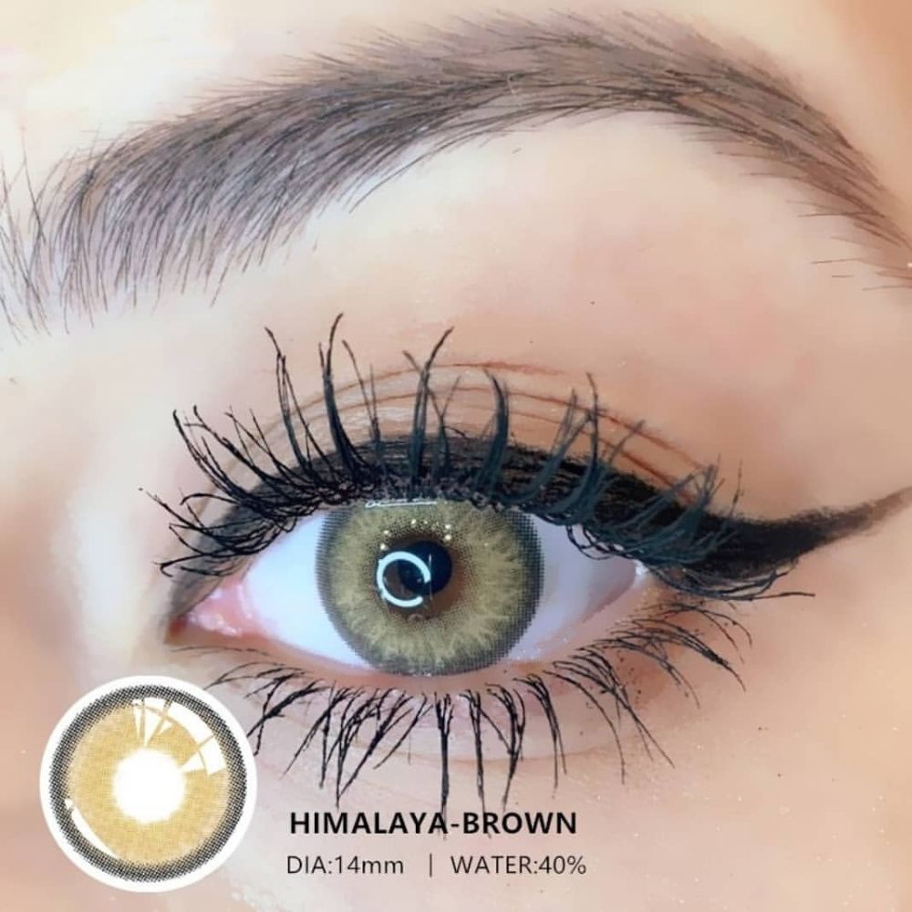 Himalaya Brown