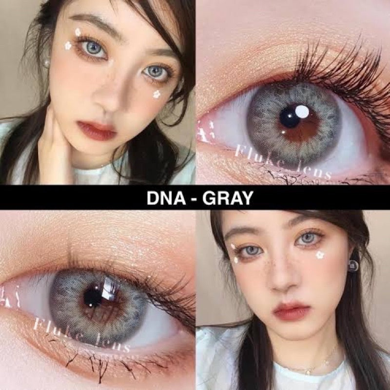 DNA Taylor Green Gray